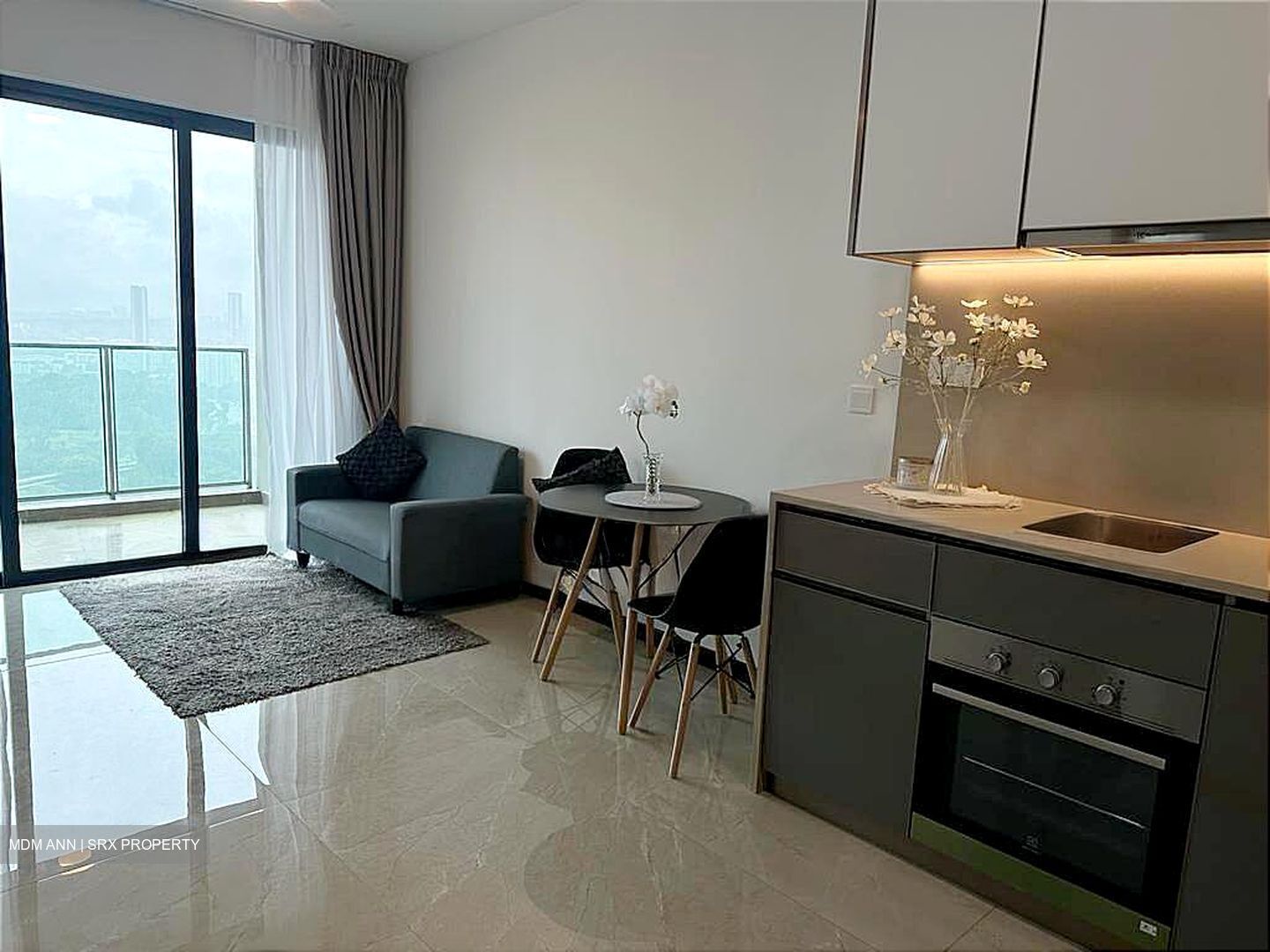 Normanton Park (D5), Apartment #521562011